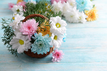 Colorful chrysanthemum in basket on wooden background