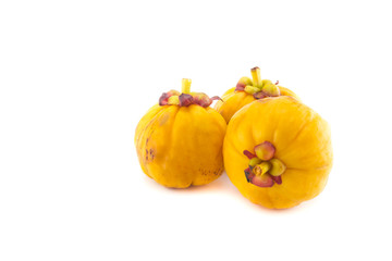 garcinia Cambogia isolated on white background