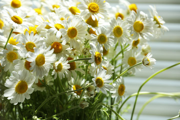 Beautiful bouquet of daisies close up