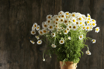 Beautiful bouquet of daisies on wooden background