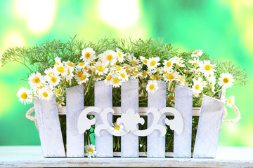 Obraz premium Beautiful bouquet of daisies in ornamental flowerpot on bright background