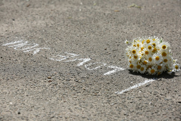 Beautiful bouquet of daisies on asphalt outdoors