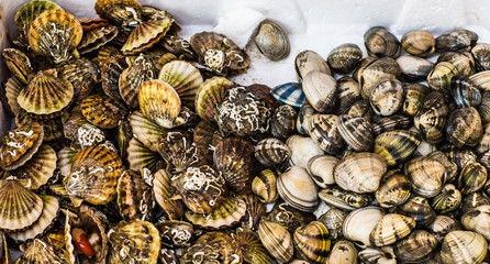 Fresh seafood  in fish market