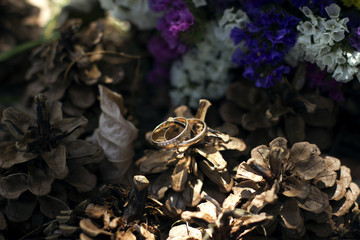 beautiful details of the wedding photography. crown of the bride, wedding rings