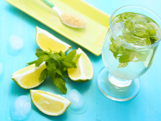Fresh mojito drink with ingredients for the cocktail (lime, cane sugar, mint and ice cubes), selective focus, angle view