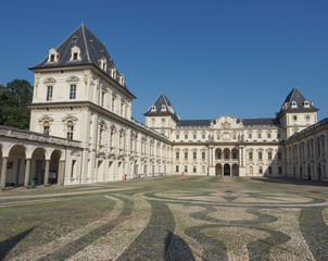 Fototapeta na wymiar Castello del Valentino in Turin