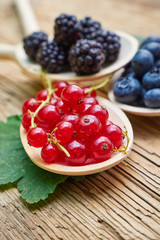 spoons with different berries