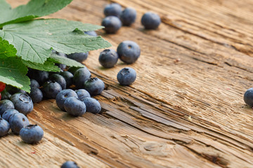 Fresh blueberries on wood table