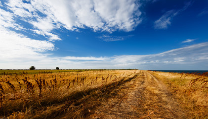 beautiful expanses fields on the Black Sea coast