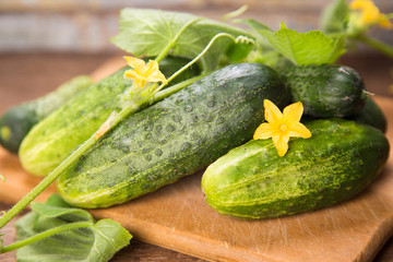 cucumber with flowers