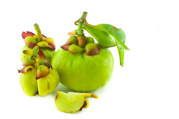 fresh Garcinia