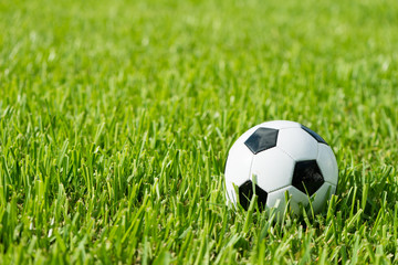 Soccer Ball  Futbol on Grass