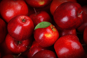 Red apples background