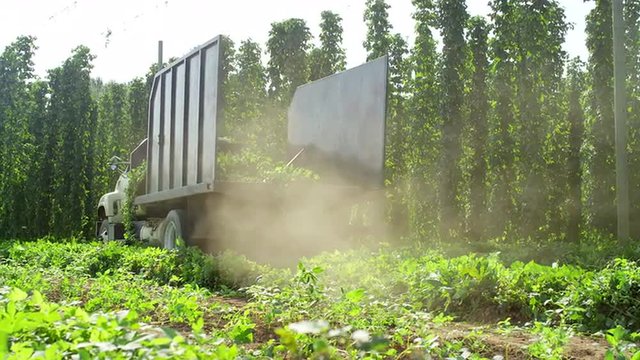 Truck hauling harvested hops