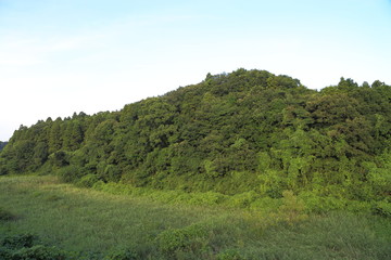Valley in Satoyama where green is wanton.