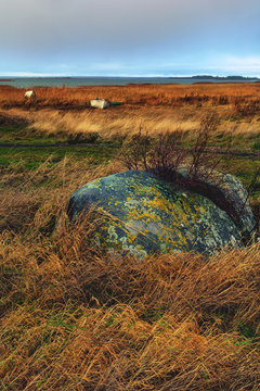 Chopped rock and boats in the yellow grass near the sea