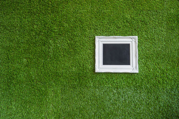 picture frame on green background
