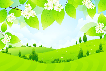 Fototapeta premium Green Landscape with Flowers