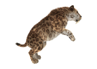 Obraz premium Big Cat Smilodon