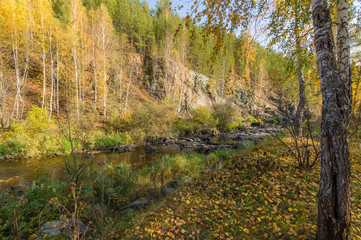 осенний лесной пейзаж с рекой и скалой 