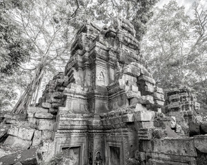 Ta Prohm Temple ancient tree roots, Angkor 