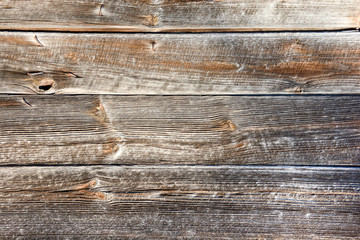 Holz