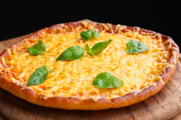 Tasty cheese pizza with basil on black background