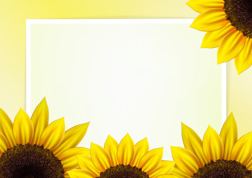 Sunflower vector background for image and text