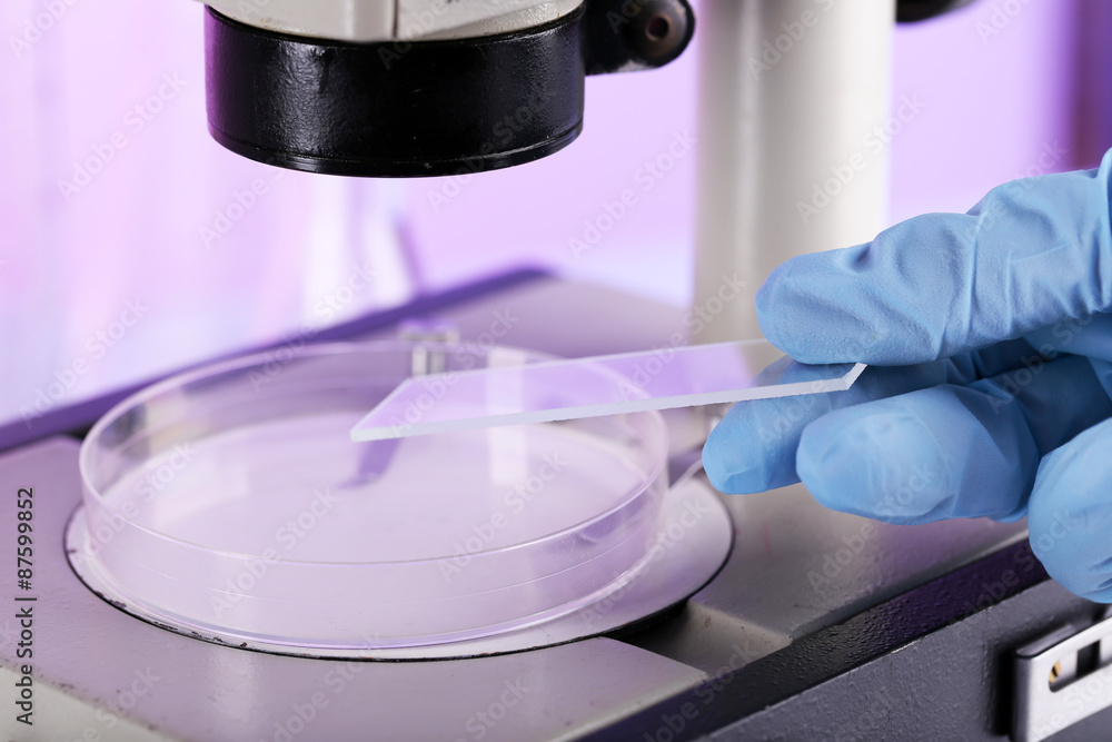 Wall mural scientist working with microscope in laboratory