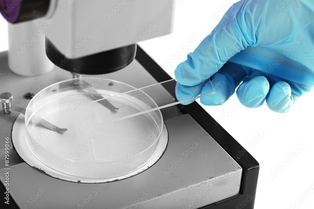 Wall mural scientist working with microscope in laboratory