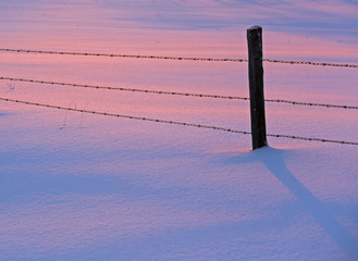 Winter Snow Sunset Pink Blue Fence