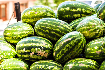 watermelons