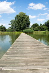wooden footbridge / old wooden footbridge over a pond