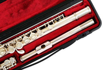 Naklejka premium Flute in case close up