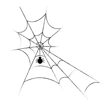 Spiderweb and Spider