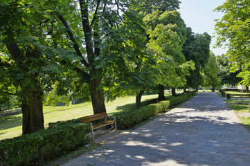 Fototapeta na wymiar The park near castle Cerveny Kamen