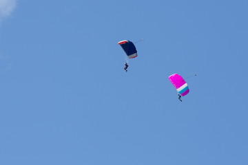 Parachutist on a blue parachute and  parachutist on a pink parachute on background blue sky 