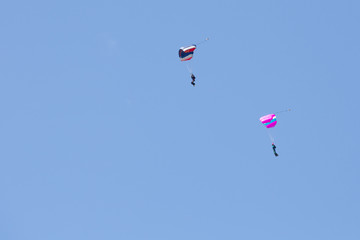 Parachutist on a blue parachute and  parachutist on a pink parachute on background clean blue sky 