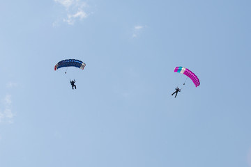 Parachutist on blue parachute and  parachutist on pink parachute on background clean blue sky 
