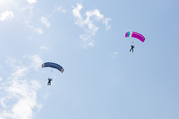Parachutist on blue parachute and  parachutist on pink parachute on background blue sky with clouds