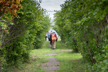 Obraz premium Paratroopers are following each other on a footpath through a green alley bushes