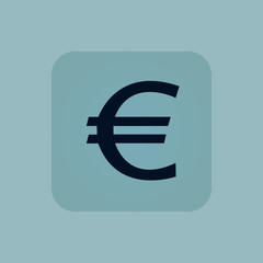 Pale blue euro icon