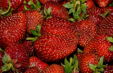 strawberries in the background
