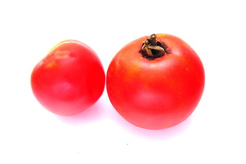 fresh tomatoes