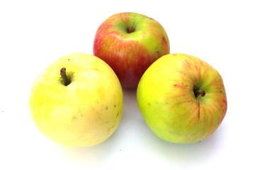 apple harvest