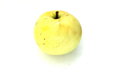 ripe apple