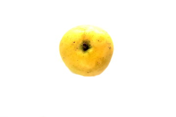 ripe apple