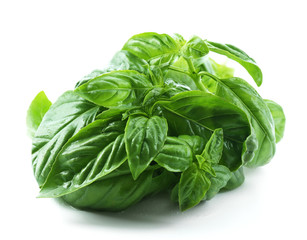 Green fresh basil isolated on white