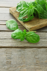 Green fresh basil on wooden background