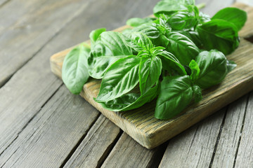 Green fresh basil on wooden background